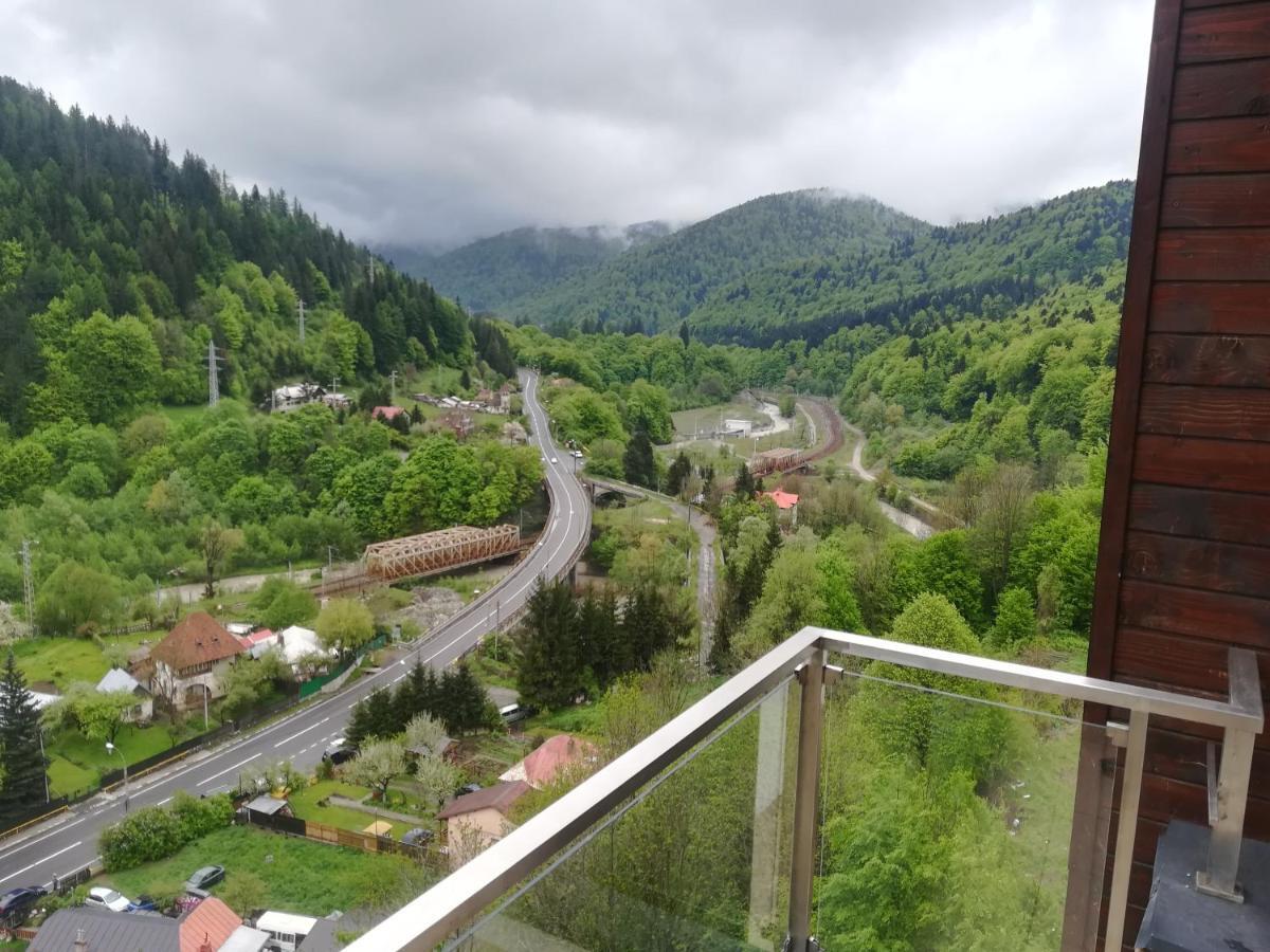 Sinaia Q Marie Apartment Luaran gambar