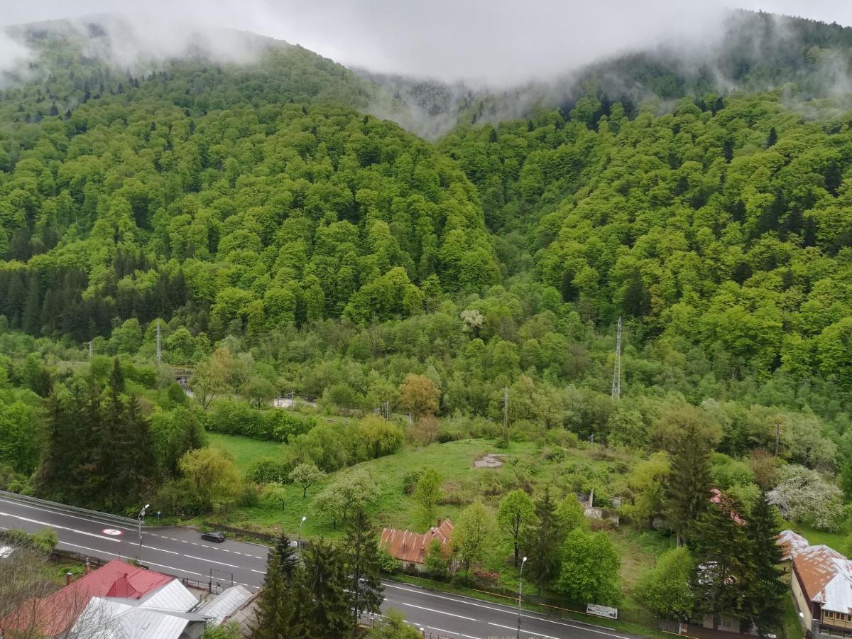 Sinaia Q Marie Apartment Luaran gambar